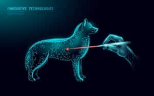 Xray dog with laser surgery vet in charleston sc