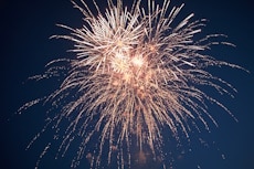 Fireworks are lighting up the night, How to Keep Your Pets Calm During Fireworks, Hampton Park Veterinary Hospital, Charleston's Veterinarians, Charleston, SC